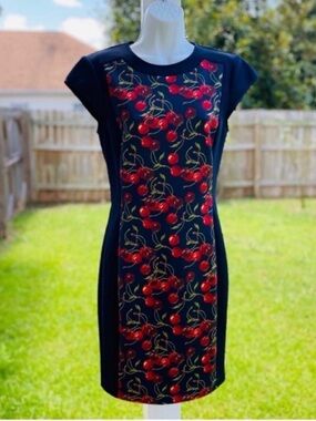 Ted Baker London Midi Dress with Red Cherry Print